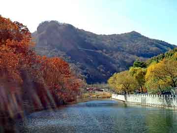 新澳天天开奖资料大全旅游团，安卓智能手机论坛